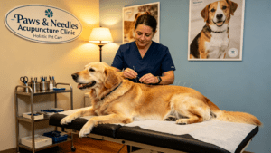 Animal Acupuncture Center